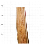 Canarywood Live Edge Slab - 48" x 14" x 1.25" - CW-11-A