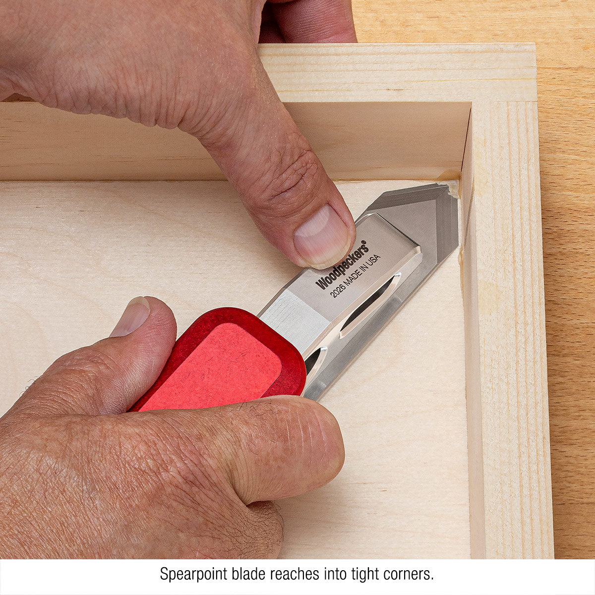 Stainless Steel Chisel Plane