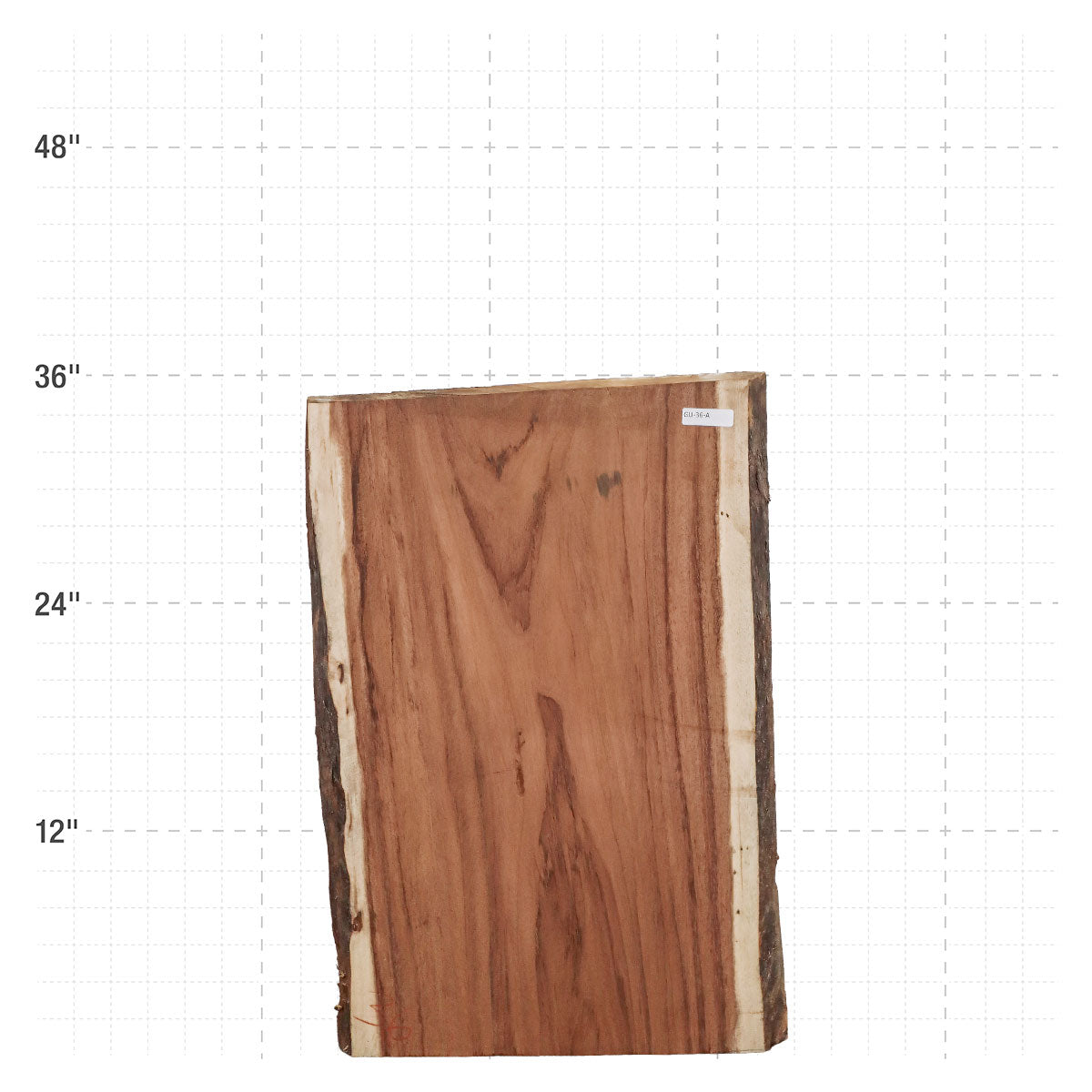 Guanacaste Live Edge Slab - 36" x 23" x 2" - GU-36-A