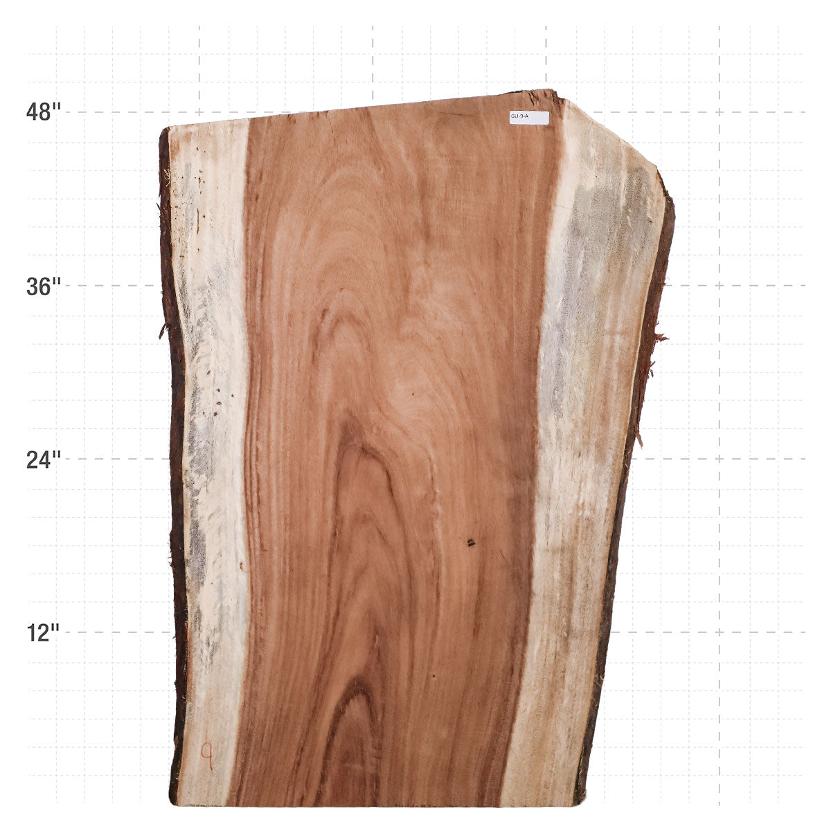Guanacaste Live Edge Slab - 49" x 30.5" x 2" - GU-9-A