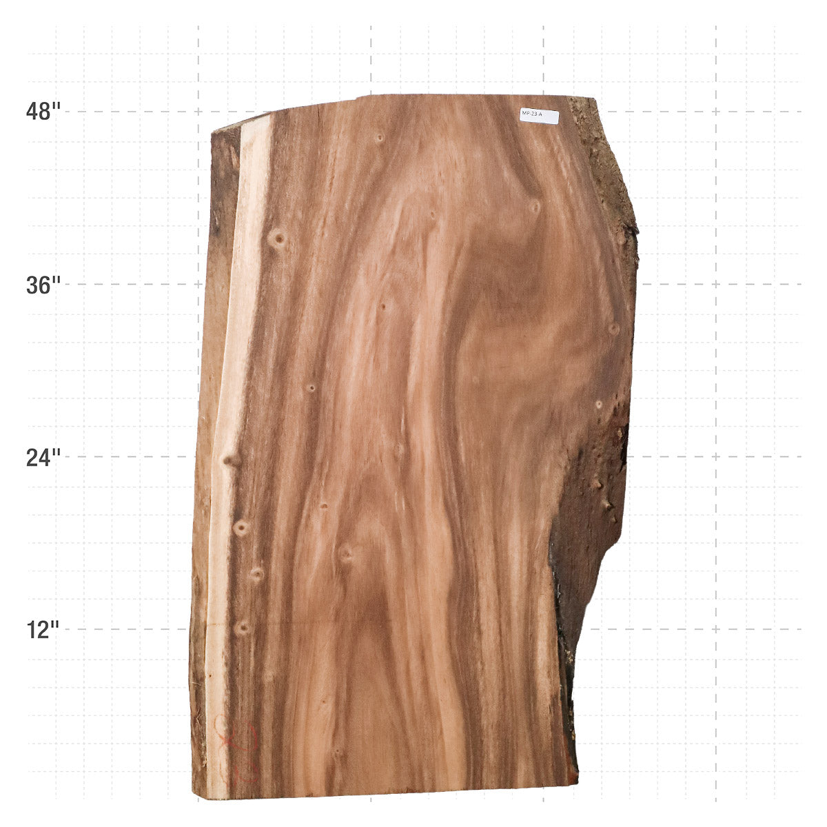 Monkeypod Live Edge Slab - 47.5" x 28.75" x 2" - MP-23-A