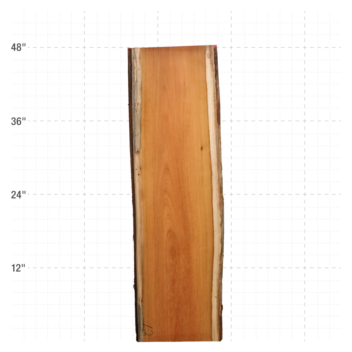 Osage Orange Live Edge Slabs - 48" x 14.25" x 1.25" - OO-12-A