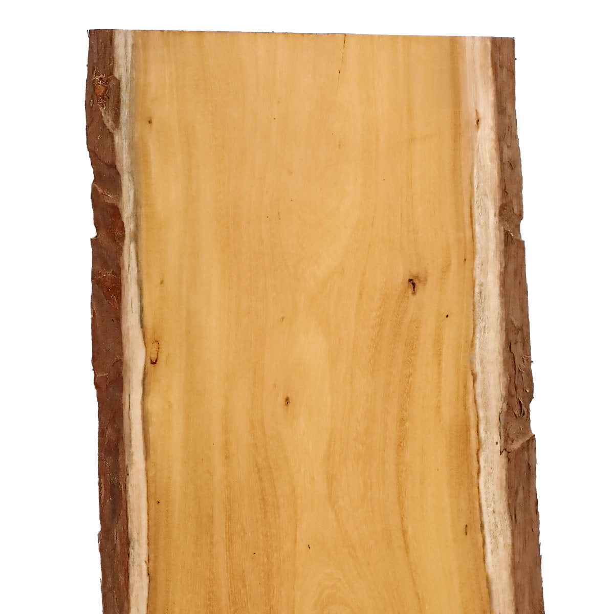 Osage Orange Live Edge Slabs - 48" x 16.25" x 1.25" - OO-14-A