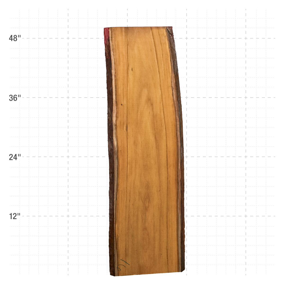 Osage Orange Live Edge Slabs - 49" x 13.5" x 1.25" - OO-16-A