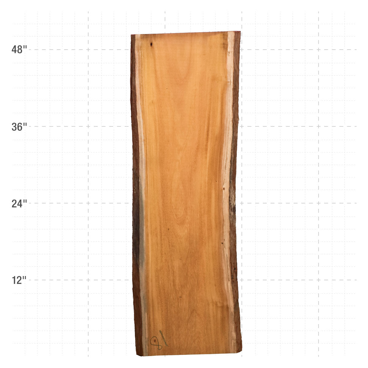 Osage Orange Live Edge Slabs - 49" x 16" x 1.25" - OO-18-A