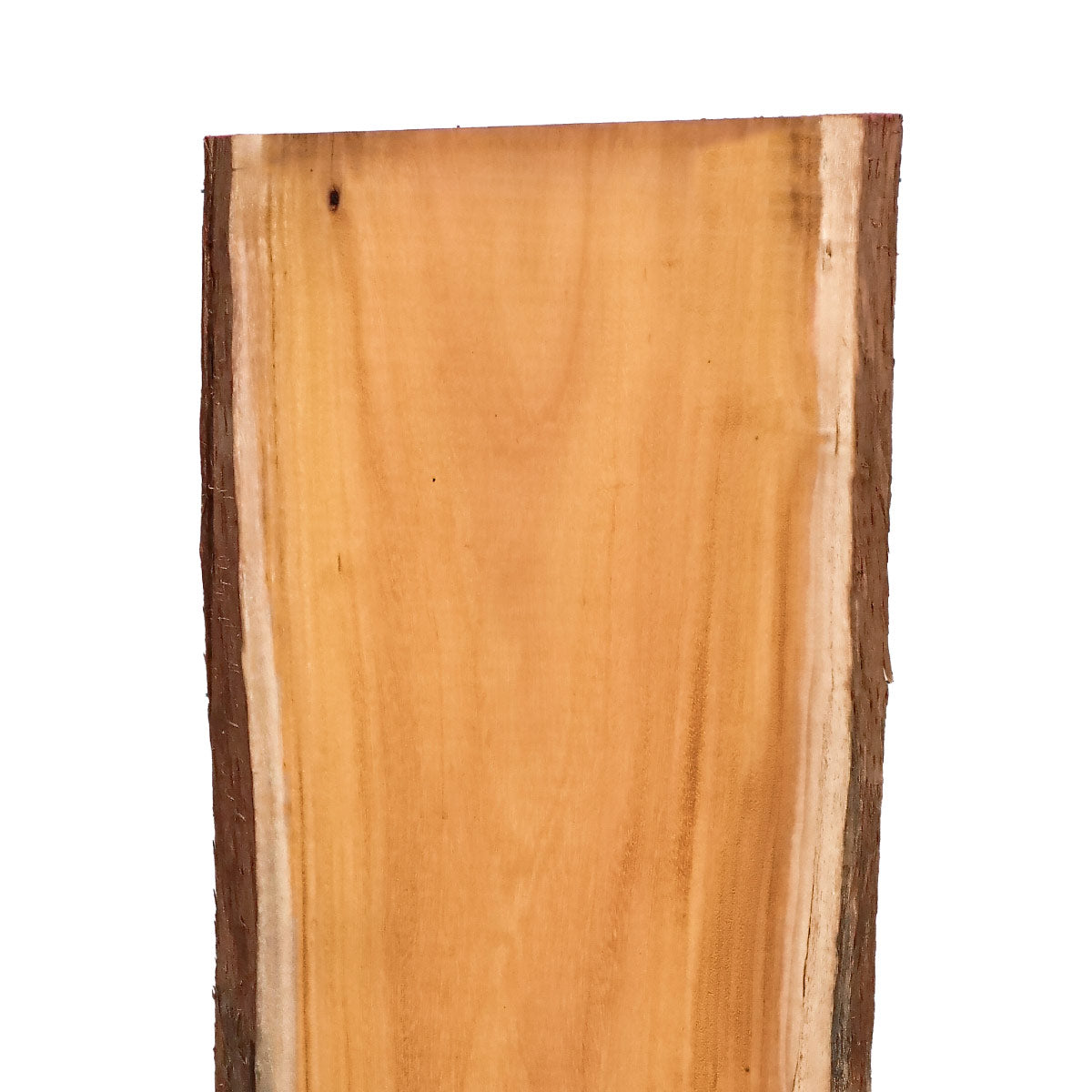 Osage Orange Live Edge Slabs - 49" x 16" x 1.25" - OO-18-A