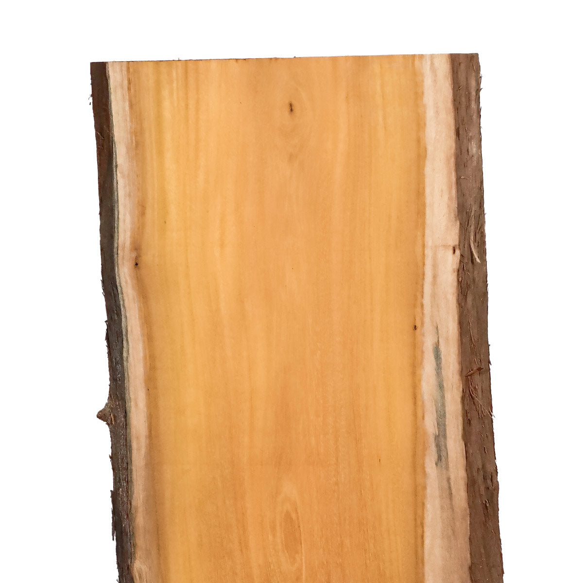 Osage Orange Live Edge Slabs - 48" x 16.5" x 1.25" - OO-19-A