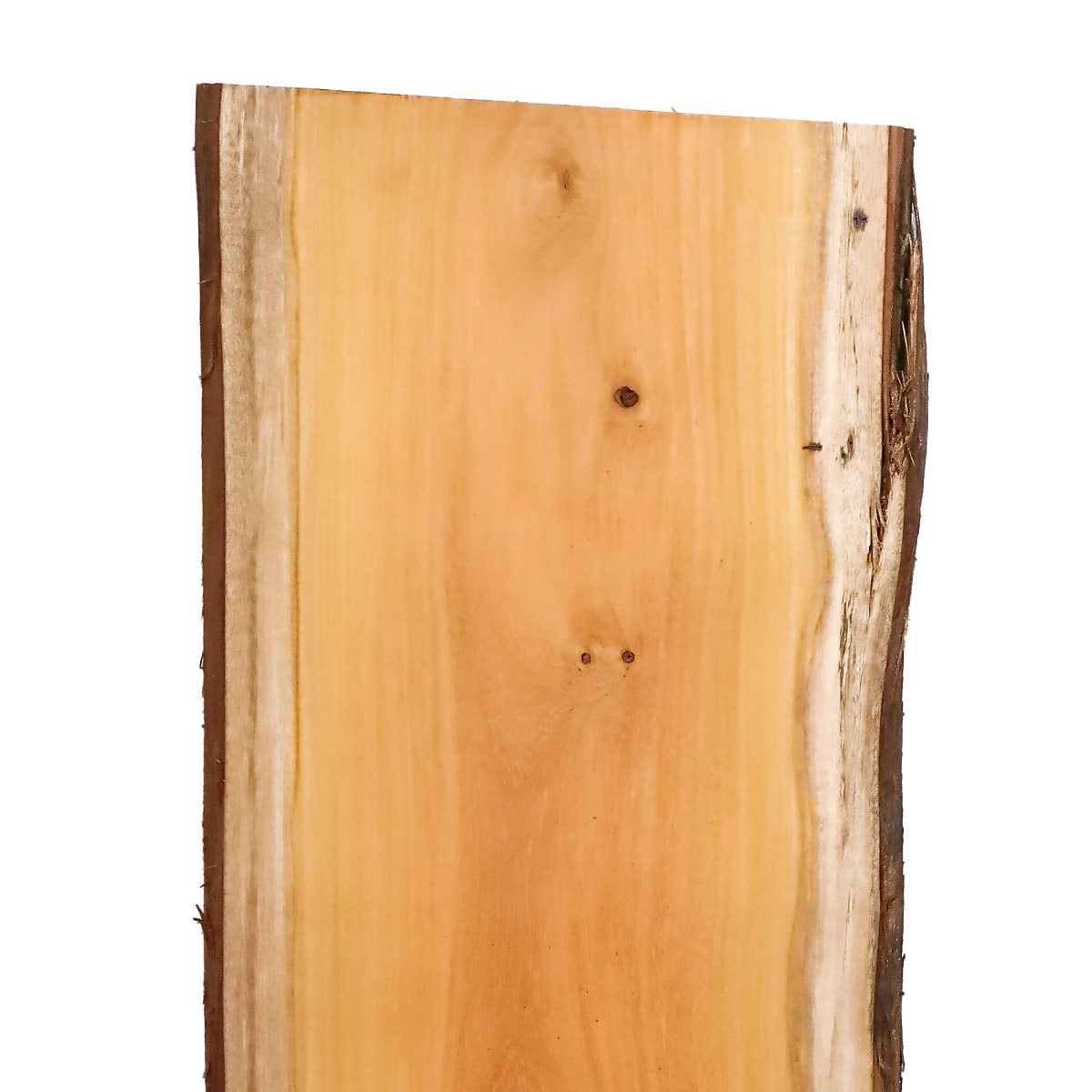 Osage Orange Live Edge Slabs - 48" x 14" x 1.25" - OO-2-A