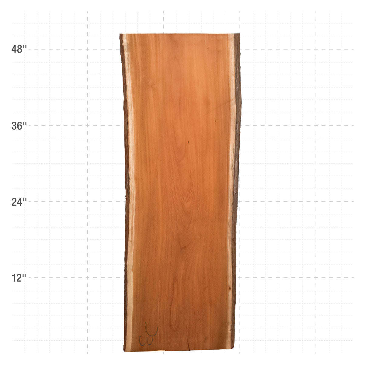 Osage Orange Live Edge Slabs - 49" x 16" x 1.25" - OO-23-A