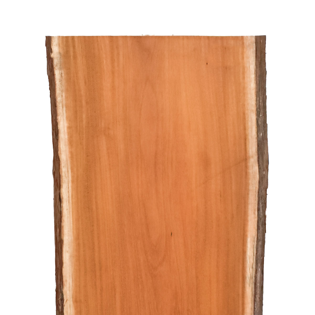 Osage Orange Live Edge Slabs - 49" x 16" x 1.25" - OO-23-A