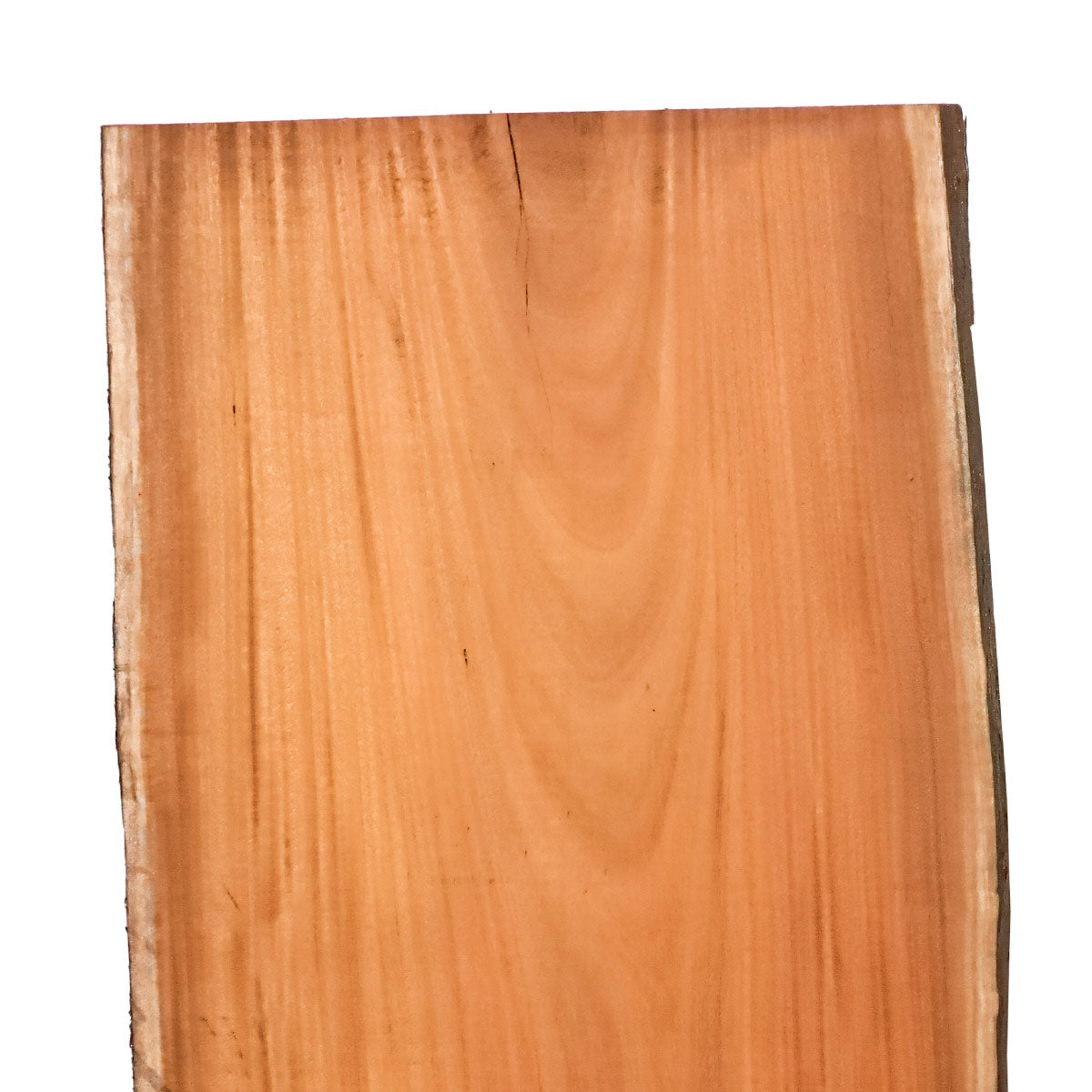 Osage Orange Live Edge Slabs - 49" x 20" x 1.25" - OO-24-A