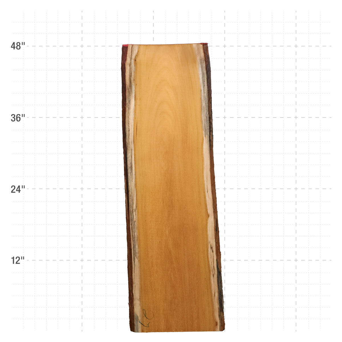 Osage Orange Live Edge Slabs - 48" x 14" x 1.25" - OO-27-A