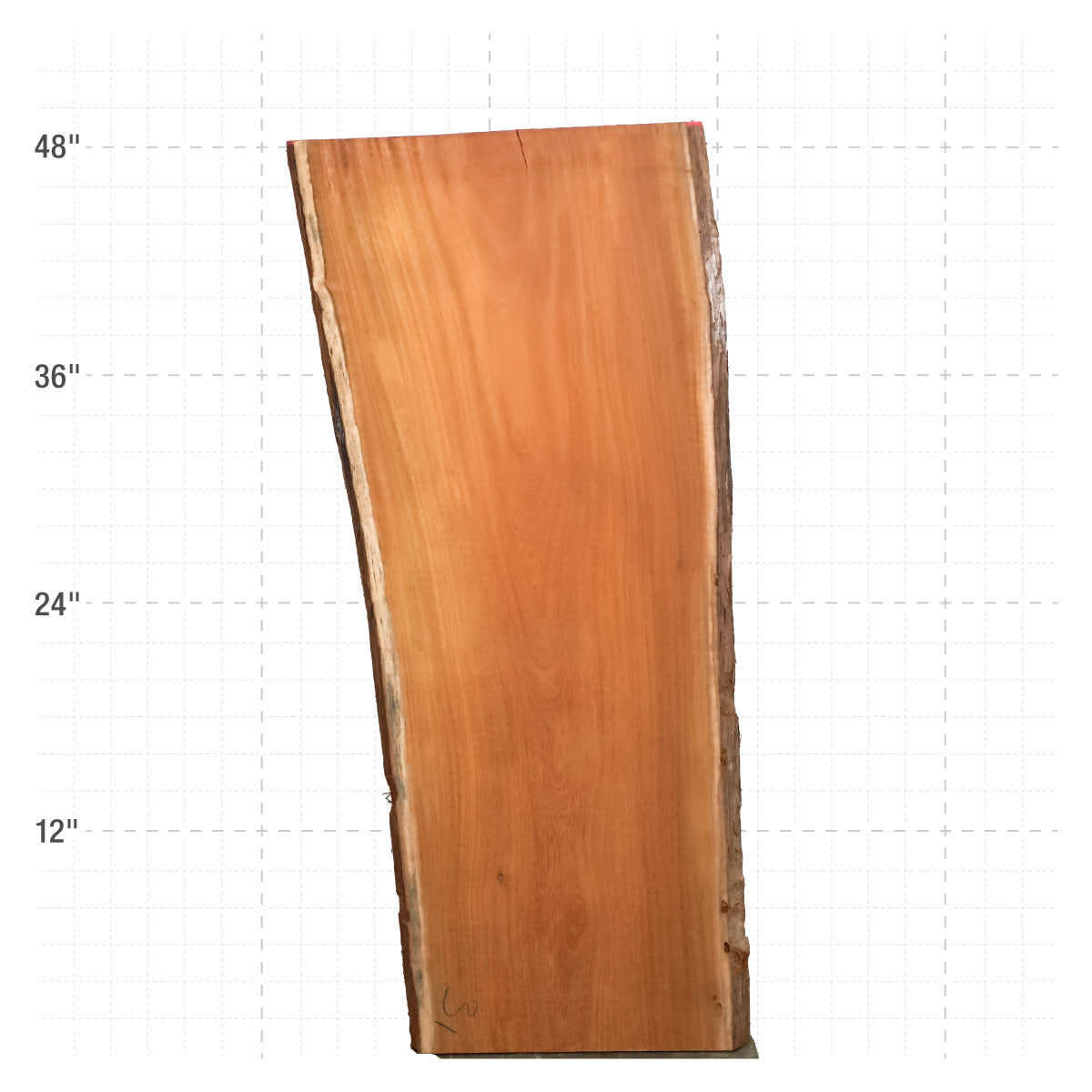 Osage Orange Live Edge Slabs - 48" x 18.5" x 1.25" - OO-31-A