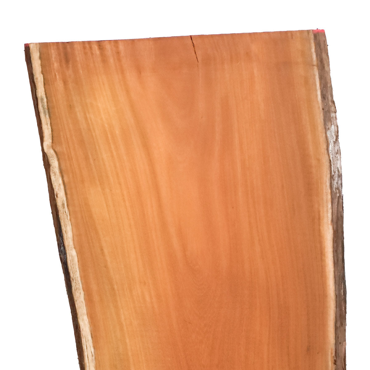 Osage Orange Live Edge Slabs - 48" x 18.5" x 1.25" - OO-31-A