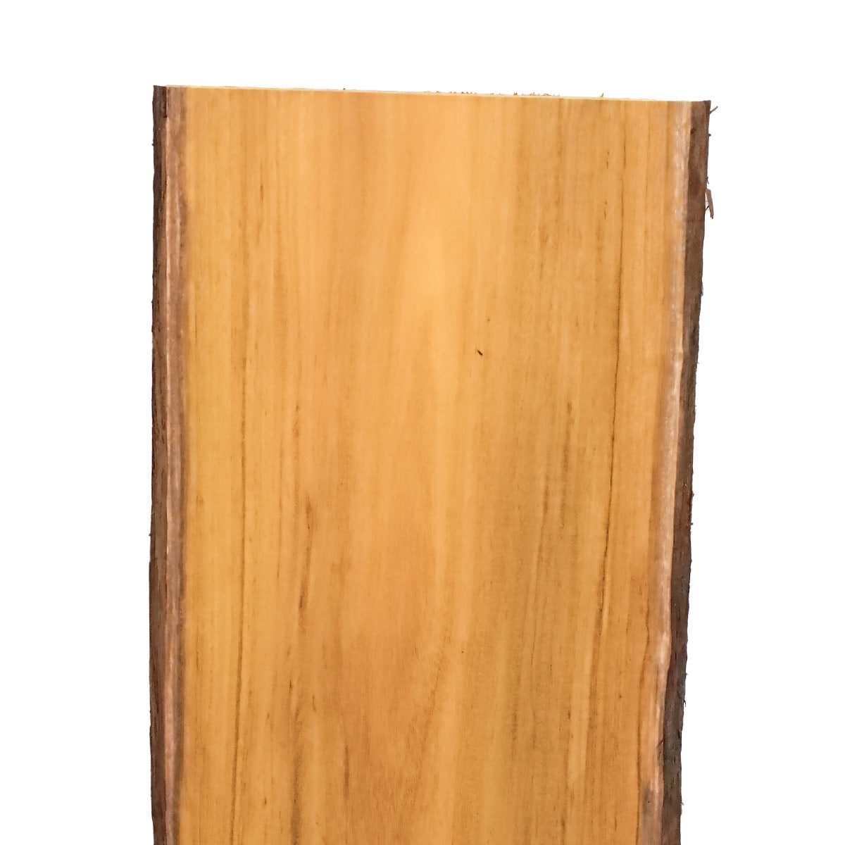 Osage Orange Live Edge Slabs - 49" x 15.5" x 1.25" - OO-32-A