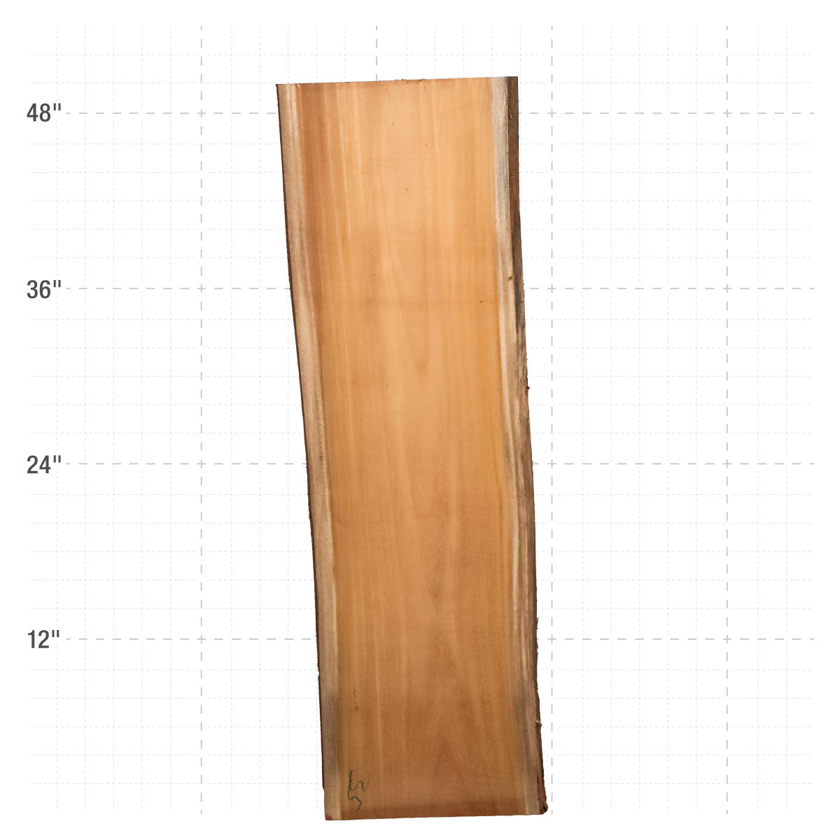 Osage Orange Live Edge Slabs - 49" x 14" x 1.25" - OO-35-A