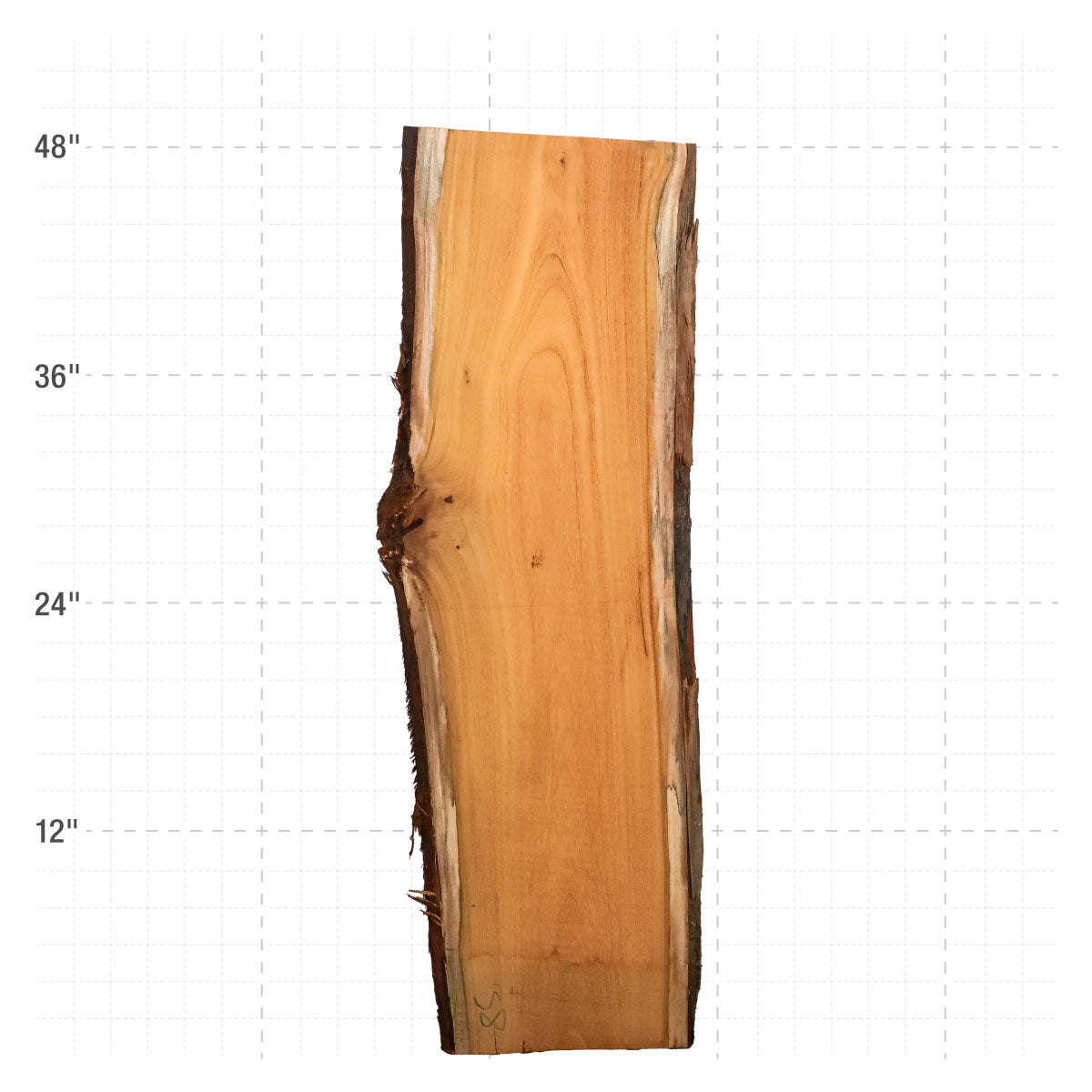 Osage Orange Live Edge Slabs - 48" x 14.5" x 1.25" - OO-38-A