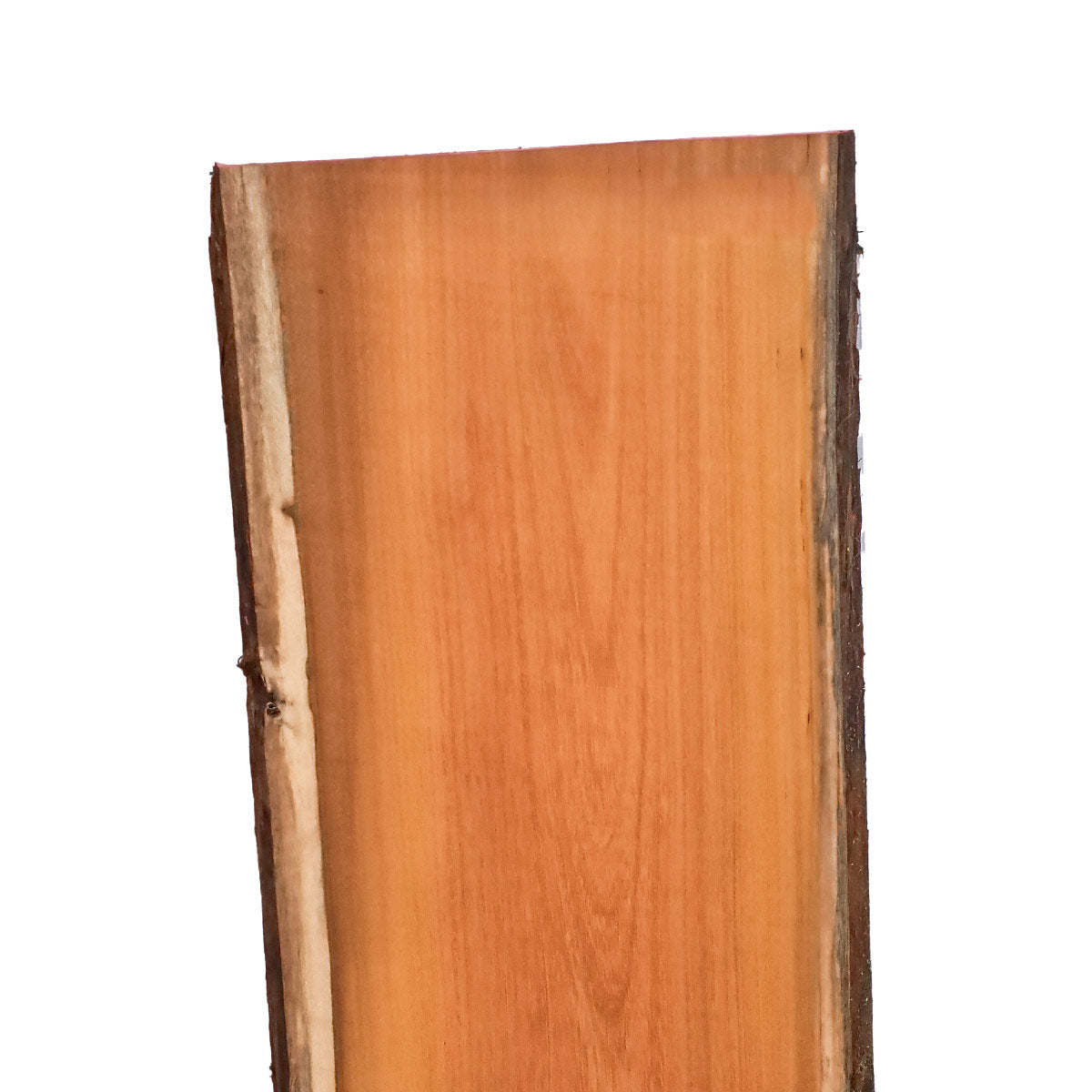 Osage Orange Live Edge Slabs - 48" x 14" x 1.25" - OO-39-A