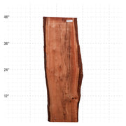 Patagonia Rosewood Live Edge Slab - 48" x 16" x 1.25" - PR-10-A