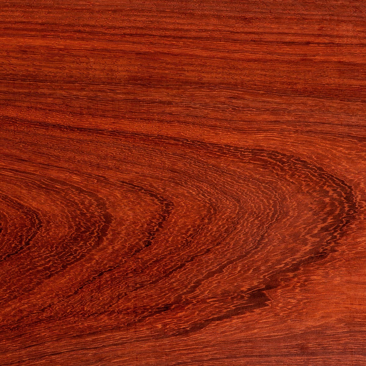 Padauk Thin Stock Lumber