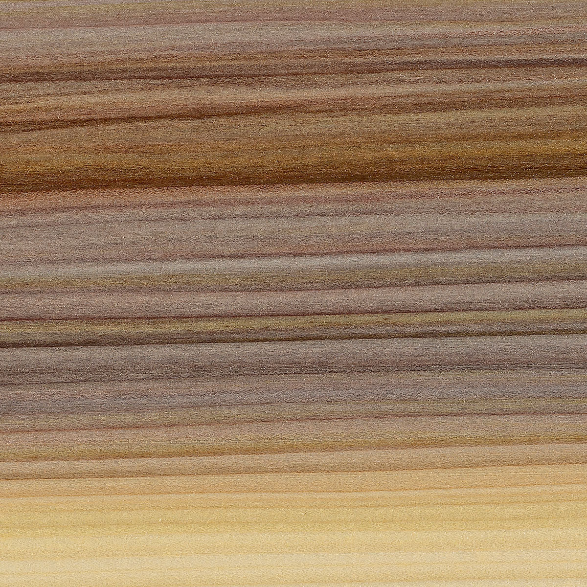 Rainbow Poplar 10 Board Foot Project Lumber Packs