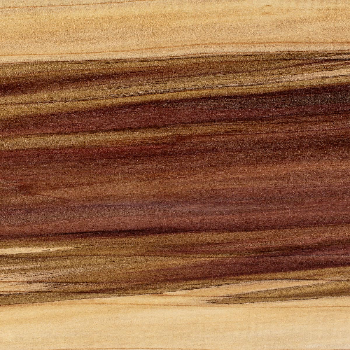 Rainbow Poplar 10 Board Foot Project Lumber Packs