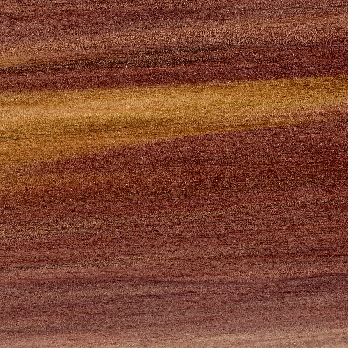 Rainbow Poplar 10 Board Foot Project Lumber Packs