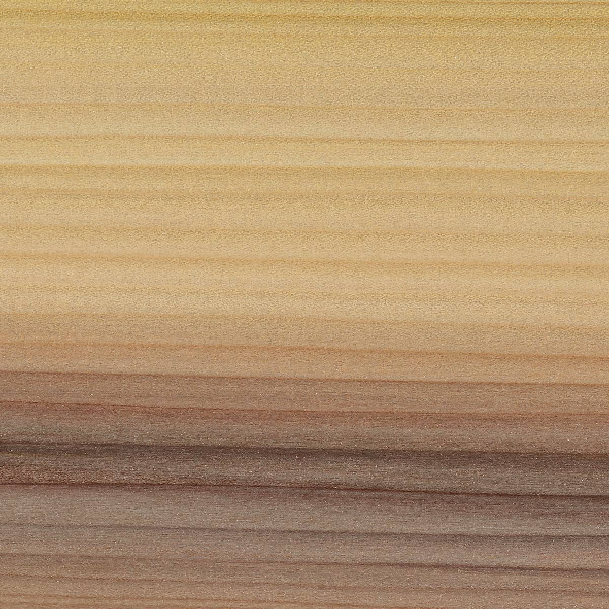 Rainbow Poplar 10 Board Foot Project Lumber Packs