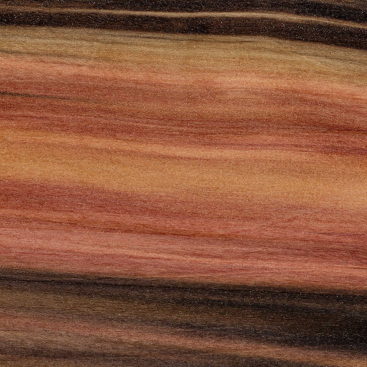 Rainbow Poplar 10 Board Foot Project Lumber Packs