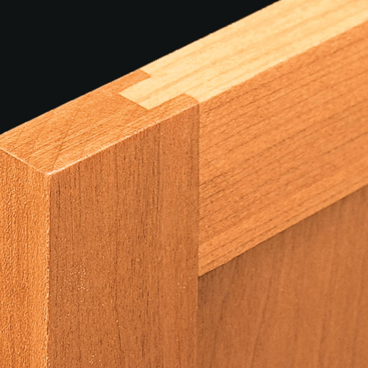 Woodsmith Custom Chisel Case Plan