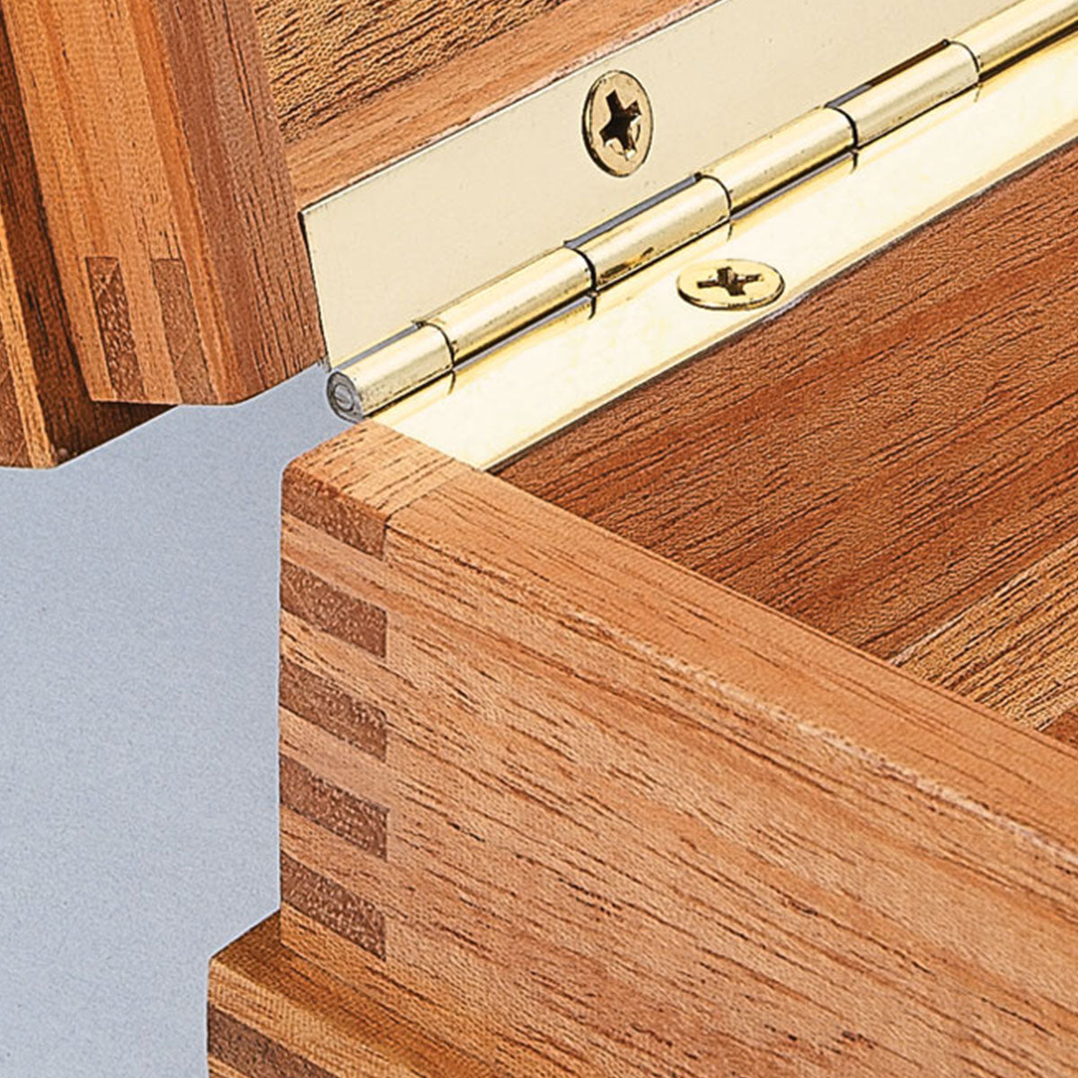 Woodsmith Portable Storage Case Plan