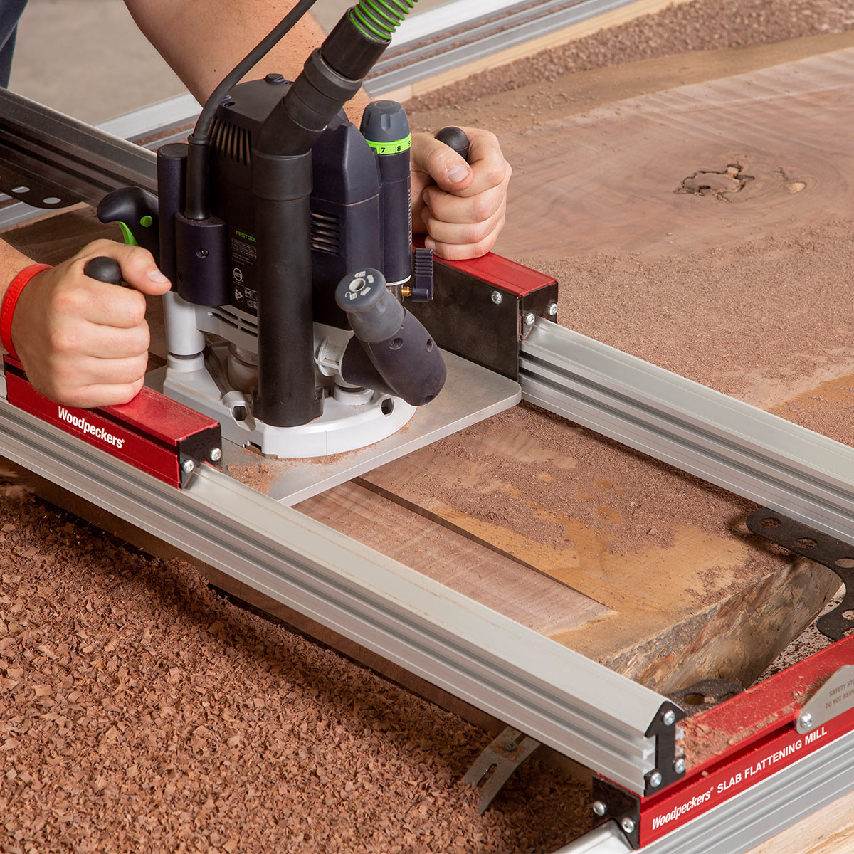 Woodpeckers