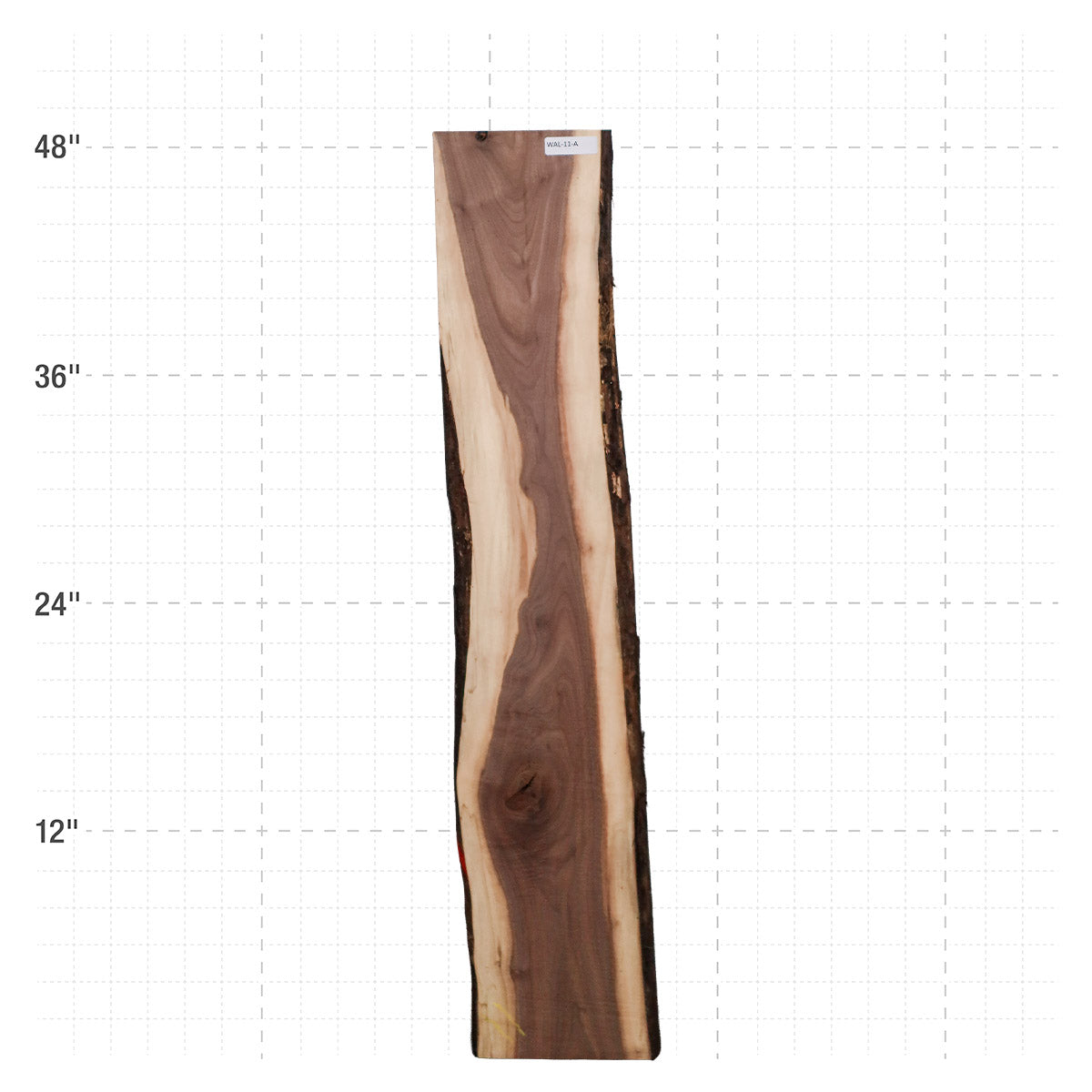 American Walnut Live Edge Slab - 48" x 8.5" x 1.25" - WAL-11-A