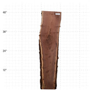 American Walnut Live Edge Slab - 48" x 10" x 1.25" - WAL-20-A
