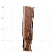 American Walnut Live Edge Slab - 48" x 10.5" x 1.25" - WAL-3-A