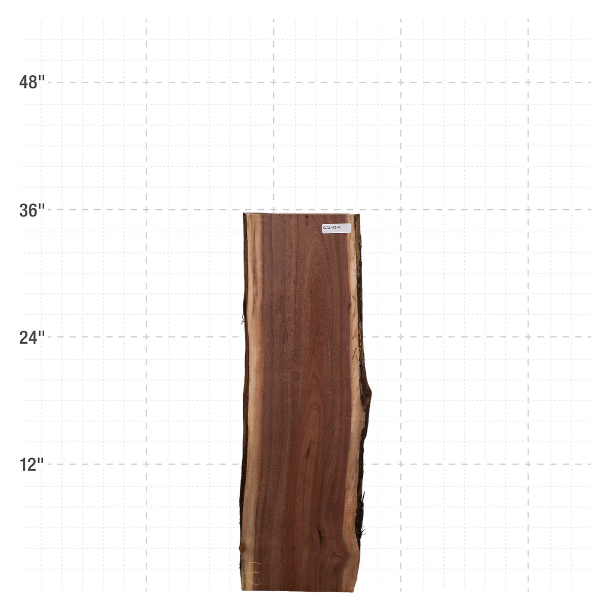 American Walnut Live Edge Slab - 36" x 11.25" x 1.25" - WAL-42-A