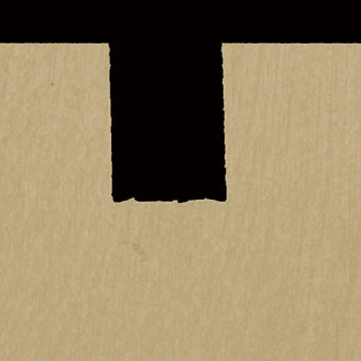 Woodsmith Wall-Hung Tool Cabinet Plan