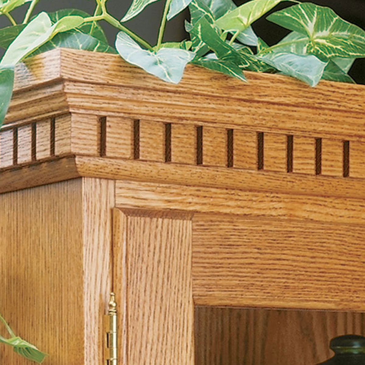Woodsmith Tall Oak Cabinet Plan