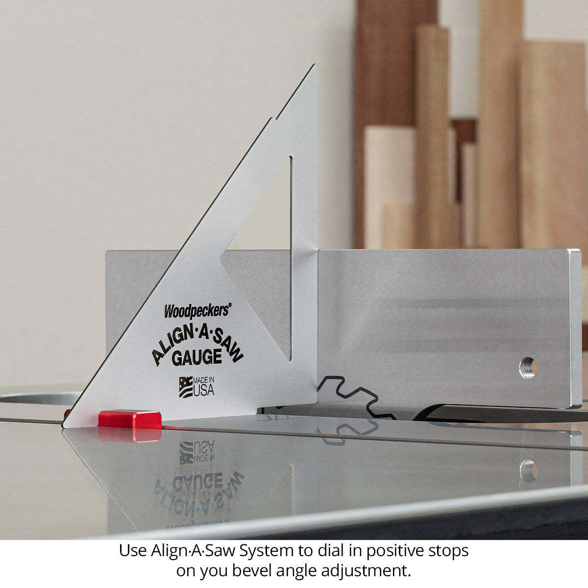 Align-A-Saw System