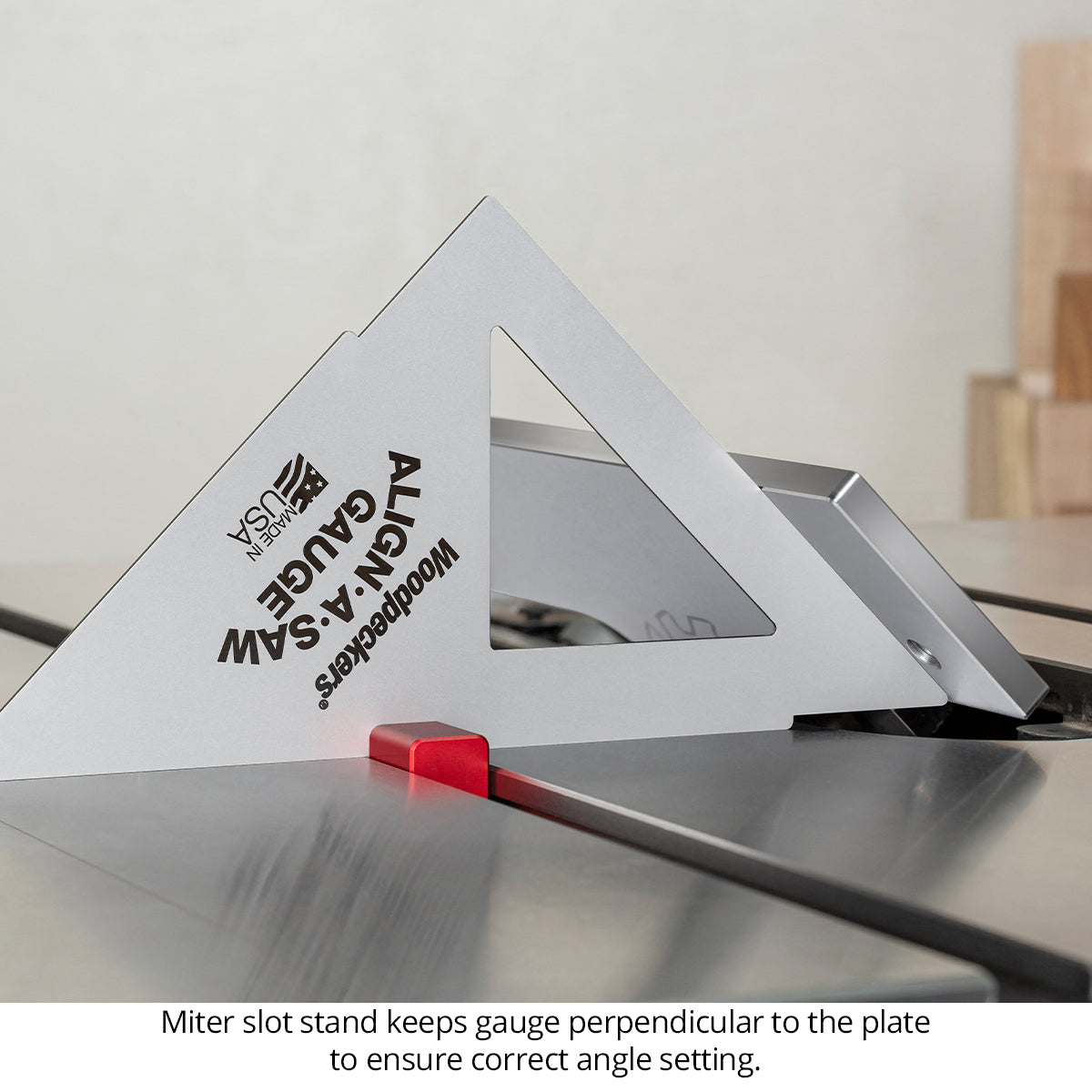 Align-A-Saw System