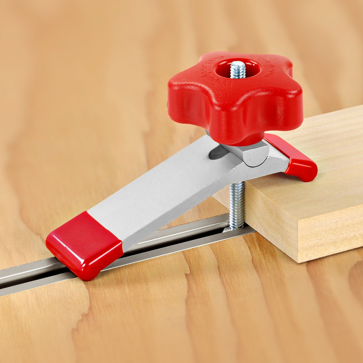 Hold Down Pivot Track Clamp