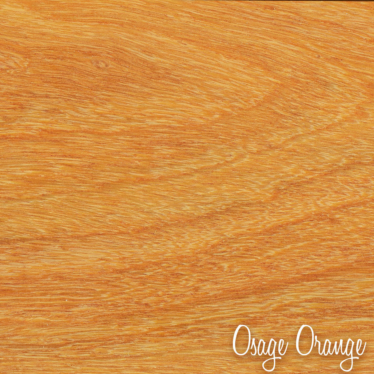 Osage Orange Project Lumber Packs