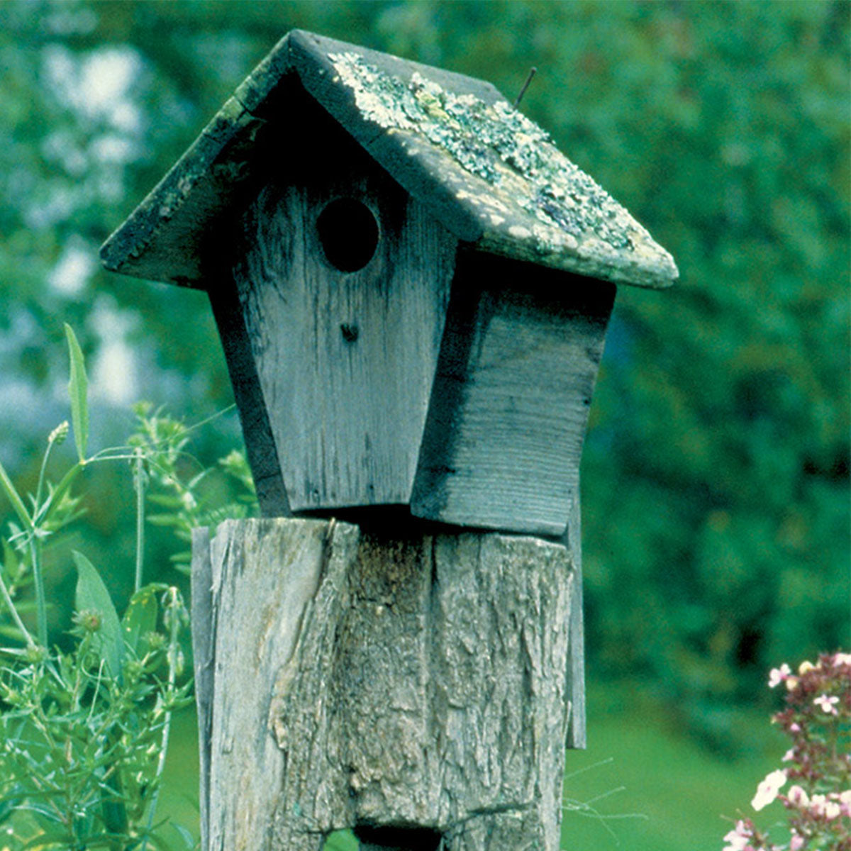 Woodsmith Cottage Birdhouse Plan