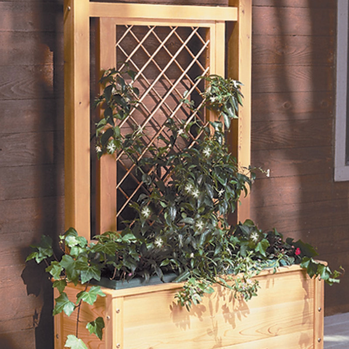 Woodsmith Trellis with a Twist Plan